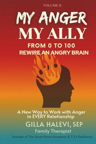 My Anger, My Ally: From 0 to 100 Rewire an Angry Brain Volume 2
