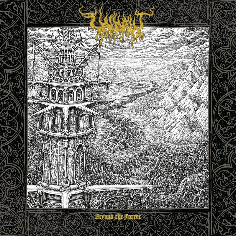 BEYOND THE FOREST (DLP) [VINYL]