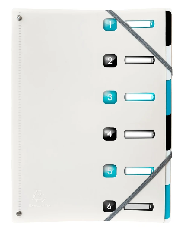 Exacompta - Ref 56730E - Box of 10 Titanium File Boxes - Expandable Spine - with Elastic Bands and Cut-Out Windows - Made of Recycled PP - 6 compartments - 24x32cm - A4-3 Colours Coco, Black and