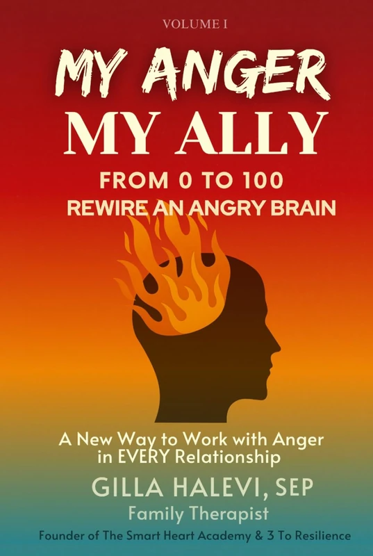 My Anger, My Ally: From 0 to 100 Rewire an Angry Brain Volume 1