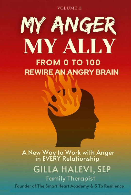 My Anger, My Ally: From 0 to 100 Rewire an Angry Brain Volume 2 - Image 1