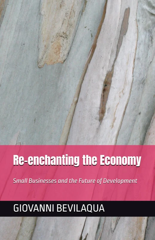 To Reenchant the Economy: Small Businesses and the Future of Development (Pequenos Negócios e Desenvolvimento Social e Econômico)