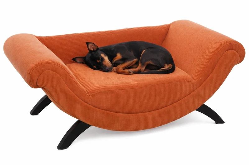 Sofa Dingo Rectangle Orange 80x43cm