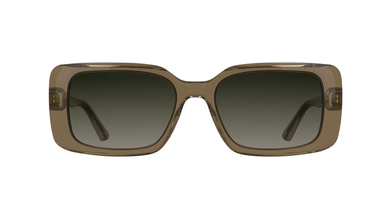 Calvin Klein Women's Sunglasses CK26508S - Transparent Brown with Gradient Brown Lens