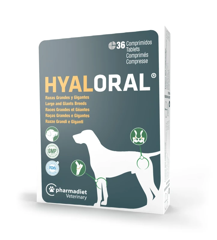 HYALORAL Dog Large Breeds 36CPD