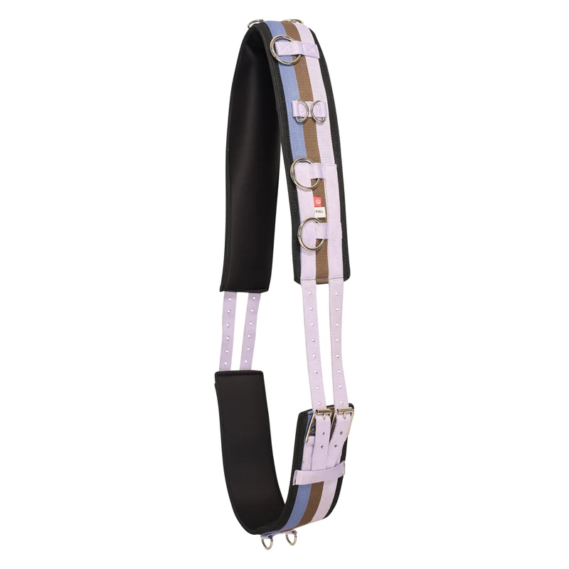Imperial Riding IRH Deluxe Lunging Belt Polyester with Neoprene Lining and Metal Rings Blue Rain Full