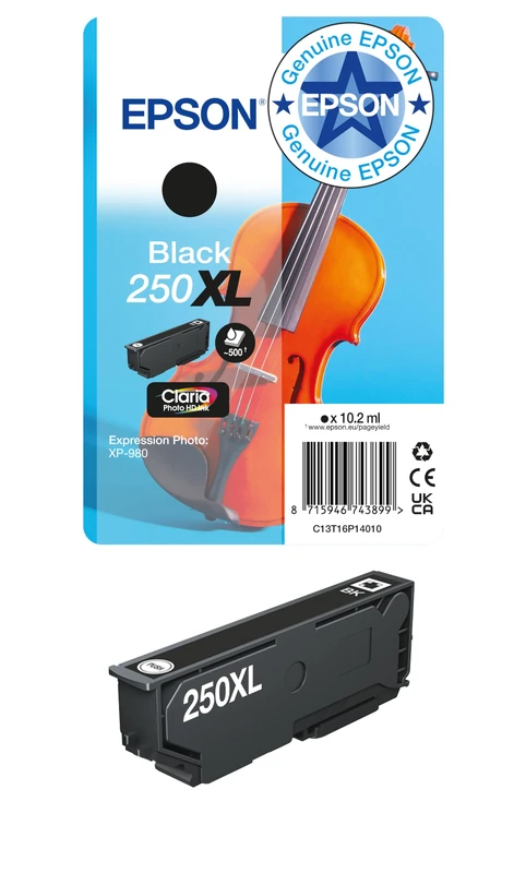 EPSON Singlepack Black 250XL ink