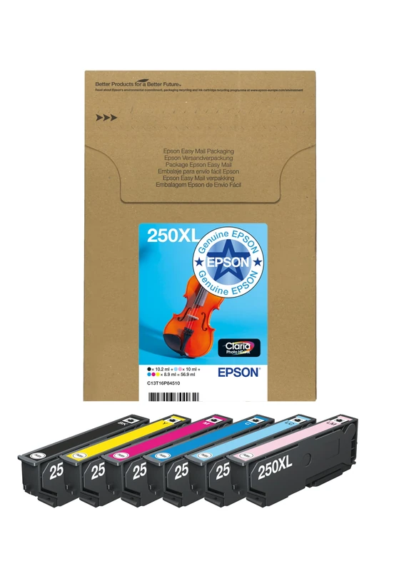 EPSON Multipack 6-colours 250XL Ink Easymail