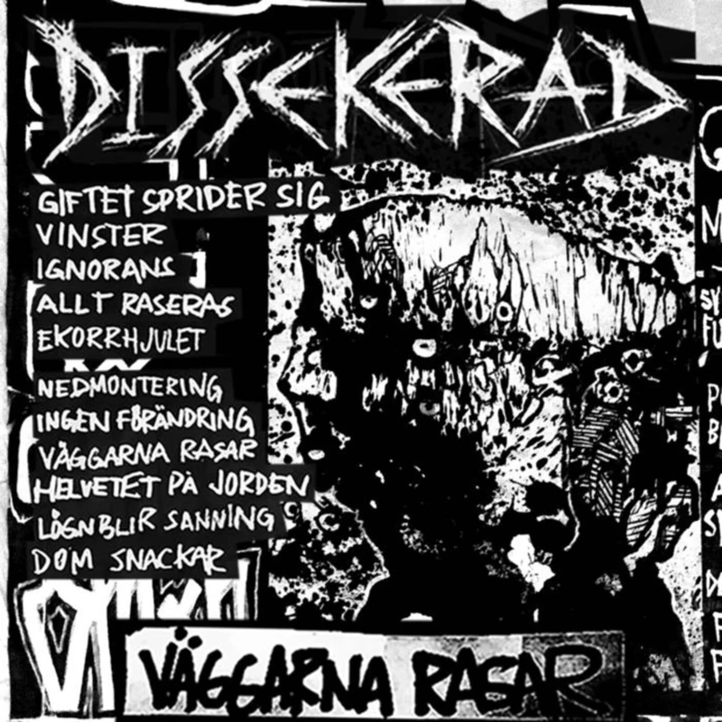 Väggarna Rasar [VINYL]