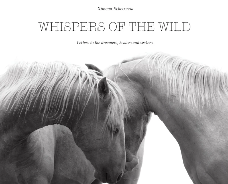 Whispers of the Wild: Letters to the Dreamers, Healers, and Seekers - Image 1