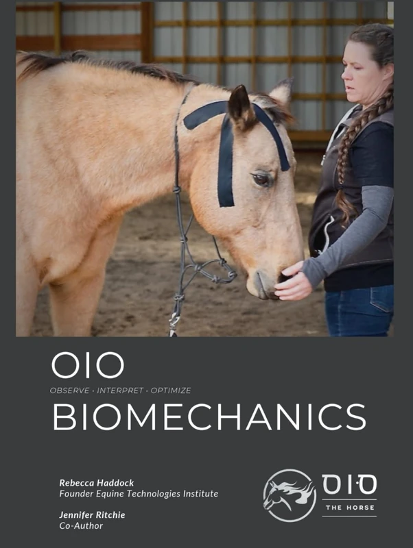 OIO Biomechanics: Observe • Interpret • Optimize