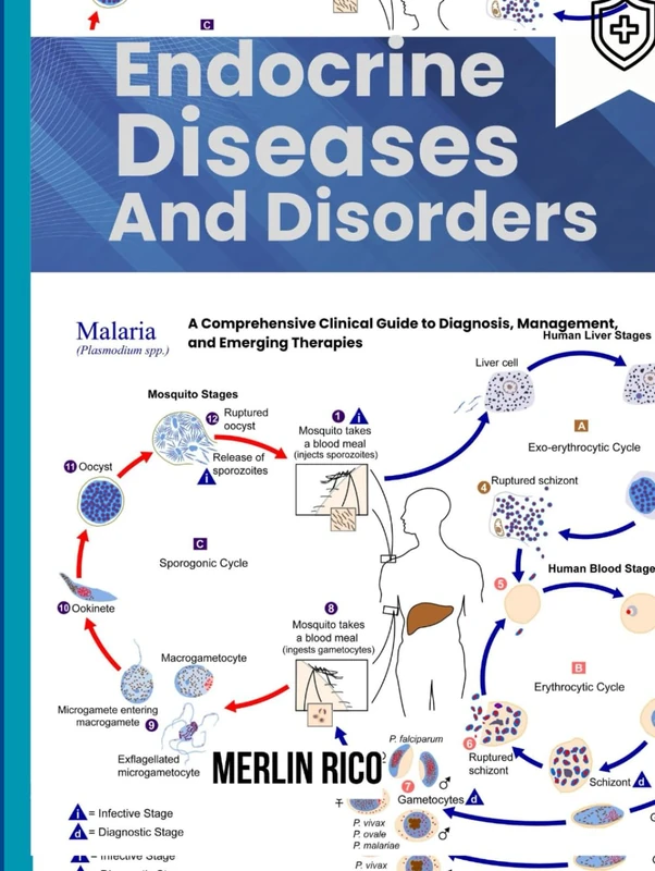 Endocrine Diseases and Disorders: A Comprehensive Clinical Guide to Diagnosis, Management, and Emerging Therapies