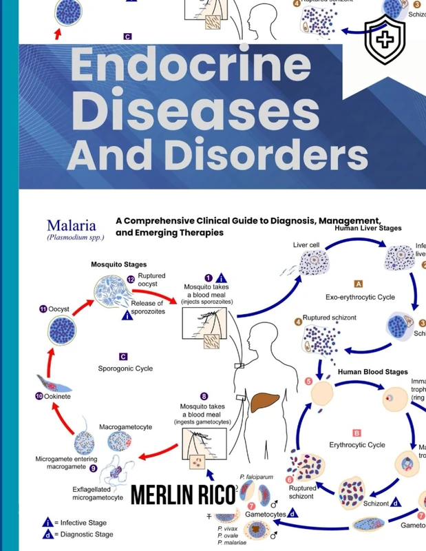 Endocrine Diseases and Disorders: A Comprehensive Clinical Guide to Diagnosis, Management, and Emerging Therapies