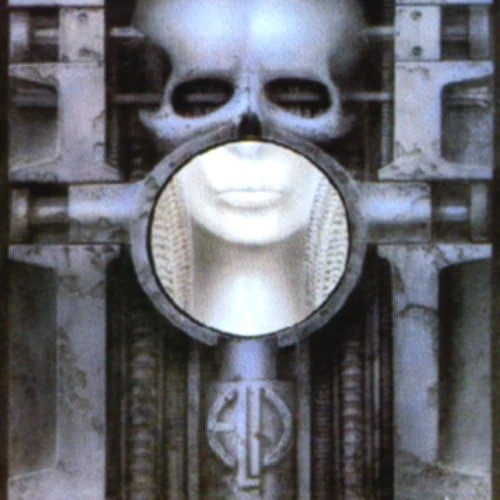 Brain Salad Surgery - Image 1