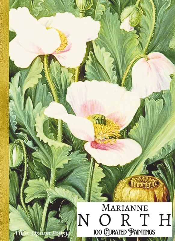 'MARIANNE NORTH: 100 Curated Paintings'; Luxury Coffee Table Book/High Quality Prints/Plates; Softcover; Large A4 Size (8.5x11.69"); Premium Paper and ... behind for each (My Private Art Gallery)