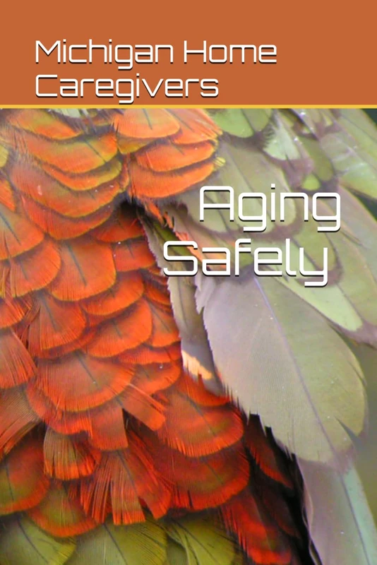 Aging Safely at Home: A Michigan Family Guide to Caring for Aging Loved Ones