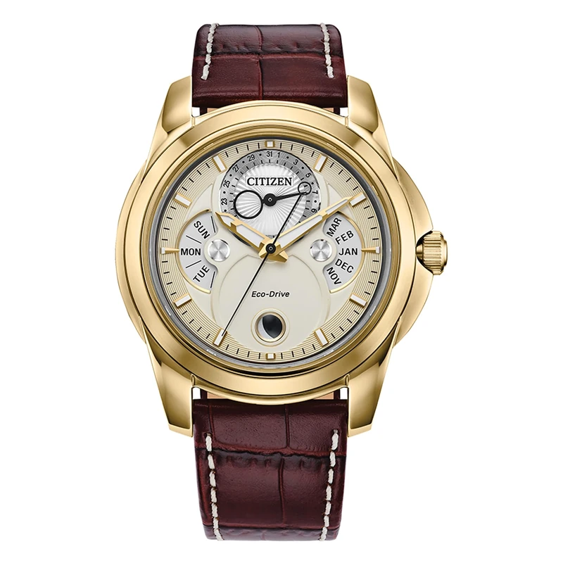 Citizen Gents Eco-Drive Calendrier