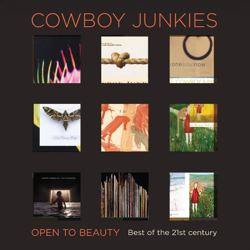 Open To Beauty: Best Of The 21st Century [VINYL]