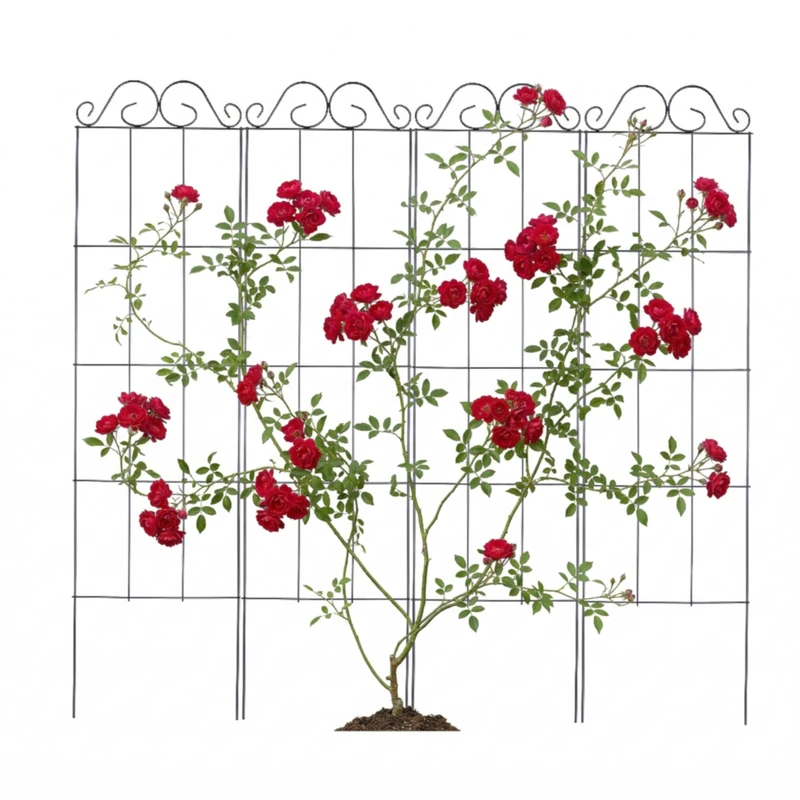 Relaxdays Set of 4 Steel Trellises for Climbing Plants, 116 x 30 cm, Black