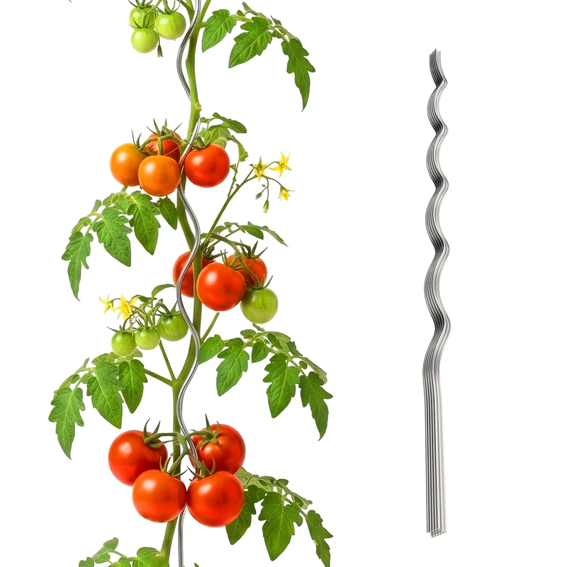 Relaxdays Tomato Spiral Rod, Set of 10, Height: 170 cm, Diameter 5 mm, Galvanised Metal, Tomato Sticks, Tomato Climbing Aid, Silver