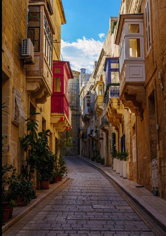 The Complete Photography Field Guide: From Beginner to Professional Photographer with Trade Secrets for Business Success