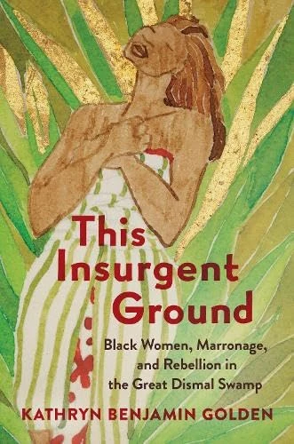This Insurgent Ground: Black Women, Marronage, and Rebellion in the Great Dismal Swamp (Black Women's History)
