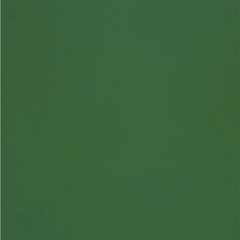 OLIN Colours, Jungle Green, Matt Wove, 240g, 700x1000mm, B1, Pack of 25 Sheets - Image 1