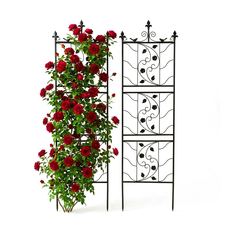 Relaxdays Trellis, set of 2, HxW 172 x 50 cm, steel, climbing plant support, rose trellis, black