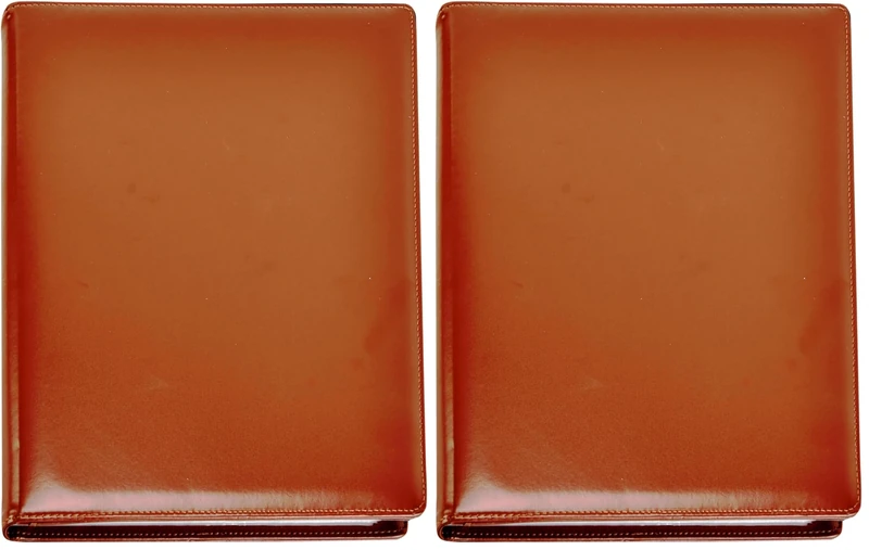 Arpan A4 Professional Display Book Folder for Presentations, CVS, Artwork & Interviews – Leather Portfolio Presentation Folder with 48 Pockets (96 Views) – A4 Pocket Display Book (Brown) (Pack of 2) - Image 1