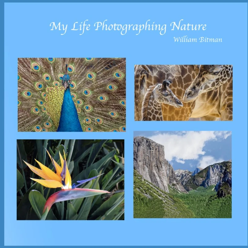 My Life Photographing Nature (Bitman Photography)