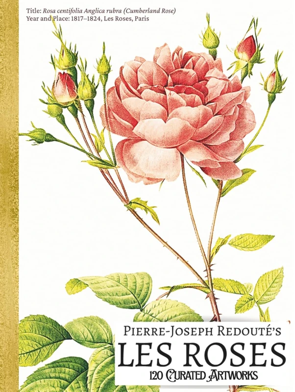 'Pierre-Joseph Redouté's LES ROSES: 120 Curated Artworks'; Luxury Coffee Table Book/High Quality Art Prints; Keepsake Hardcover Edition; Premium Paper ... Notes for Each (My Private Art Gallery)