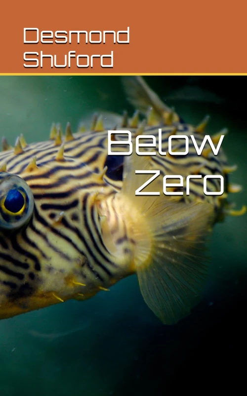 Below Zero