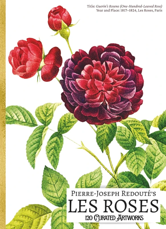'Pierre-Joseph Redouté's LES ROSES: 120 Curated Artworks'; Luxury Coffee Table Book/High Quality Art Prints; Large A4 Softcover; Premium Paper and ... and Botanical Notes (My Private Art Gallery)