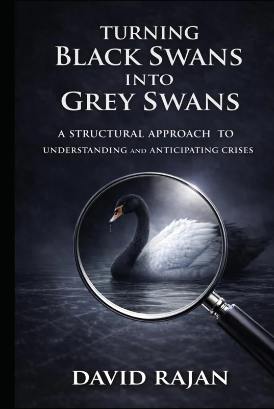 Turning Black Swans Into Grey Swans: A Structural Approach to Understanding and Anticipating Crises (Sustainxiety Institute Series on Economic Theory of Humanity) - Image 1
