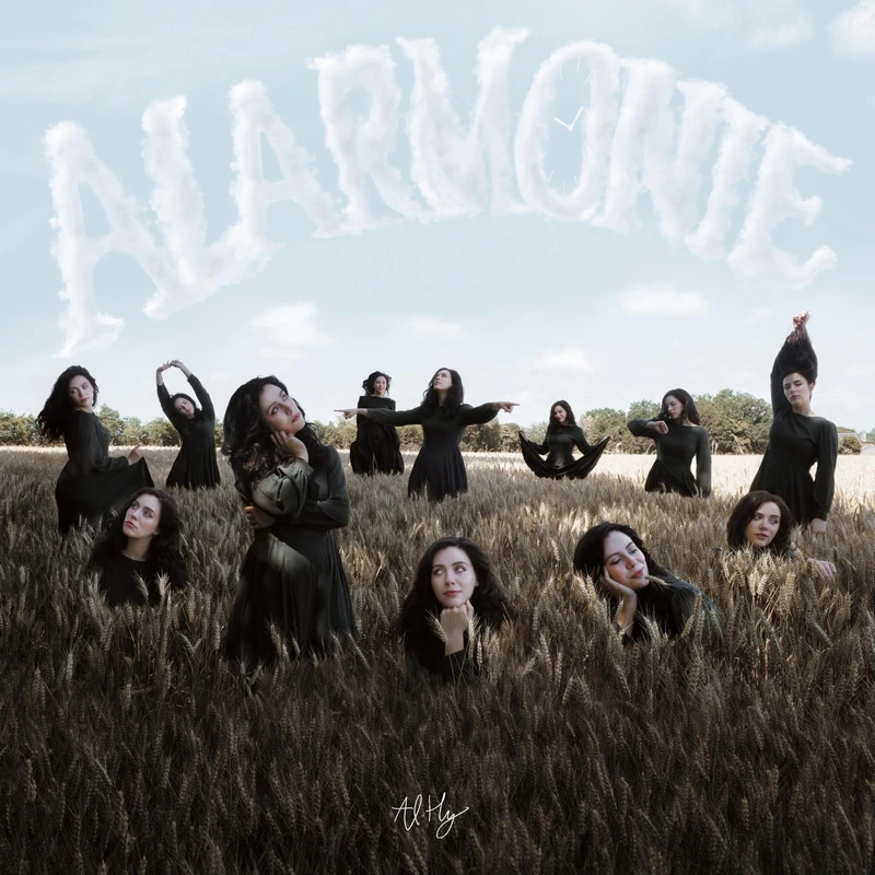 Alarmonie - Image 1