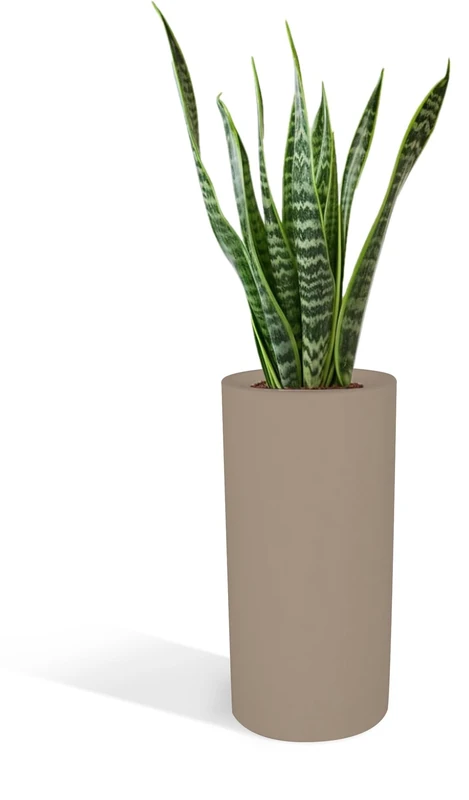 Kloris Baroque Tall Planter 70 cm Polyethylene Cylinder Planter 35 x 35 x 70 cm Compartment Depth 26 cm Made in Italy