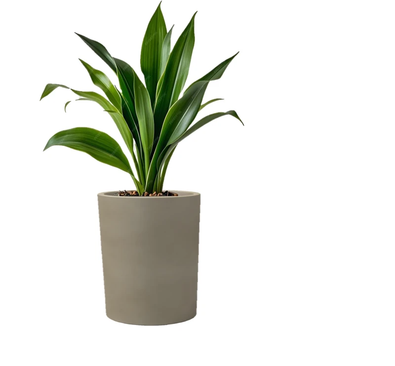 Kloris Cylindrical Planter Pot Barocco 40 Grey Taupe Polyethylene Diameter 35 cm Height 40 cm - Image 1
