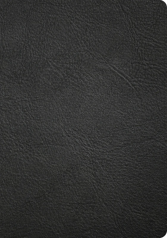 CSB Apologetics Study Bible, Revised & Updated, Easy-to-Read Optimal Type, Black Genuine Leather