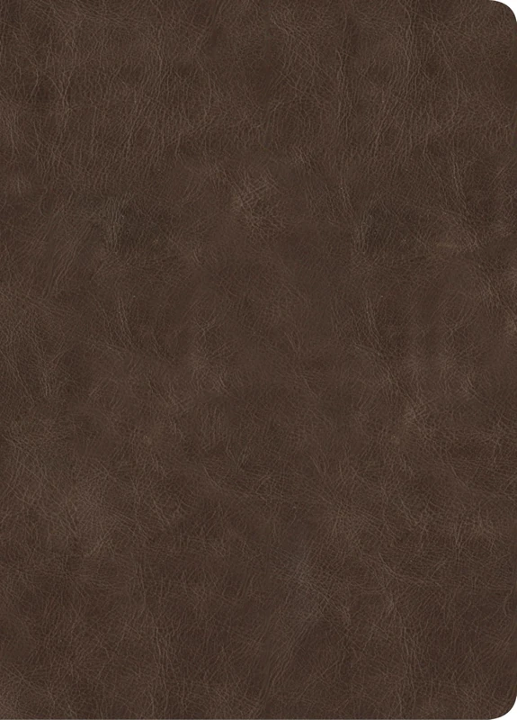 CSB Lumen Dei Bible, Lux Gloriae: Single-Column Wide-Margin Edition, Holman Handcrafted Collection, Easy-to-Read Optimal Type, Marbled Brown Premium Goatskin