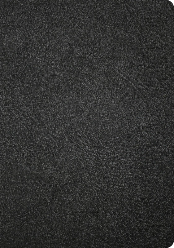 CSB Apologetics Study Bible, Revised & Updated, Easy-to-Read Optimal Type, Black Genuine Leather, Indexed