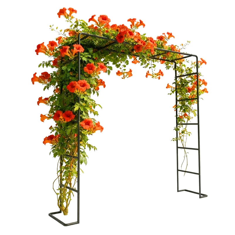 Relaxdays Rose arch, metal, HxWxD: 220 x 200 x 38 cm, garden arch, sturdy trellis for climbers, black - Image 1