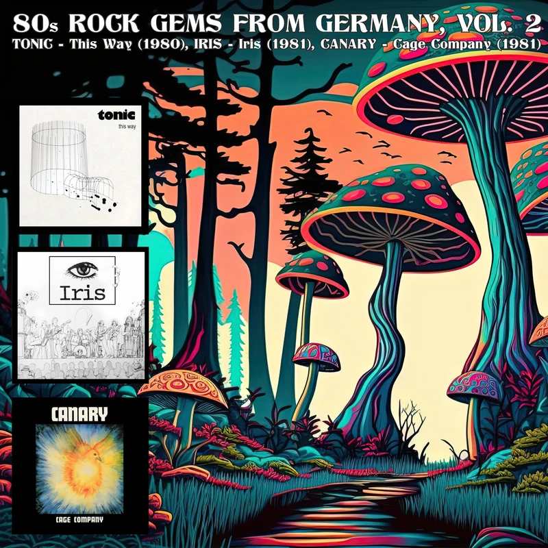 80S ROCK GEMS FROM GERMANY VOL. 2 (3LP) [VINYL]