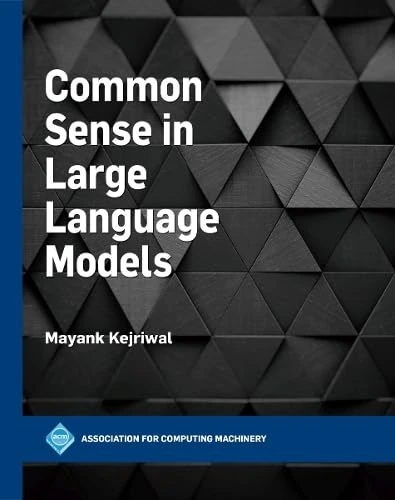 Common Sense in Large Language Models