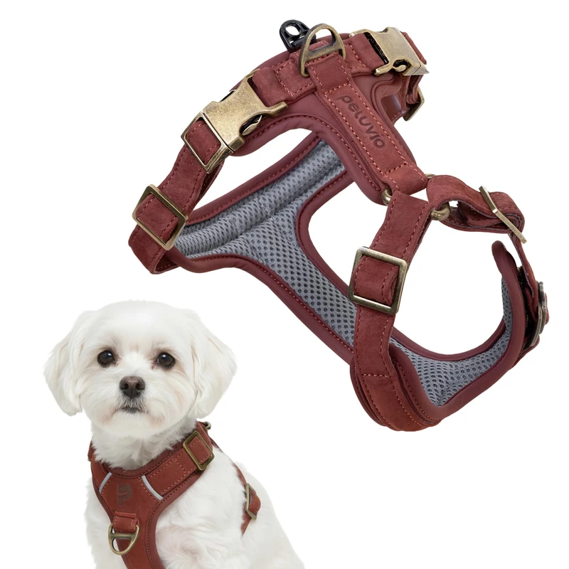 Peluvio Lord Leather Dog Harness Genuine Cowhide Leather, Classic Adjustable Dog Harness with Copper Buckles, Comfortable Control when Walking for Small Medium Large Dogs, Durable (XS, Brown)