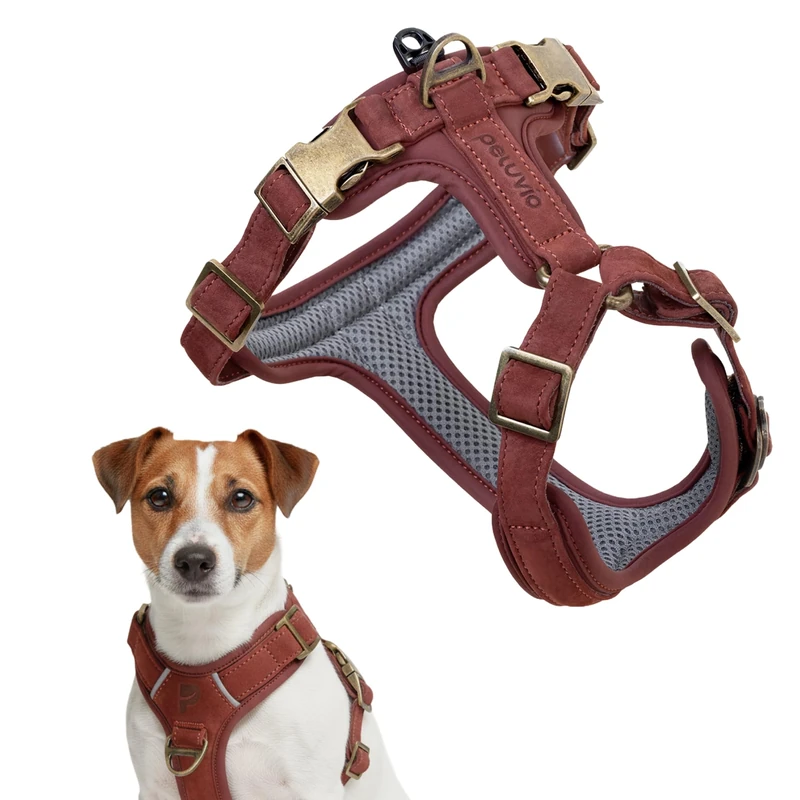 Peluvio Lord Leather Dog Harness Genuine Cowhide Leather, Classic Adjustable Dog Harness with Copper Buckles, Comfortable Control when Walking for Small Medium Large Dogs, Durable (S, Brown) - Image 1
