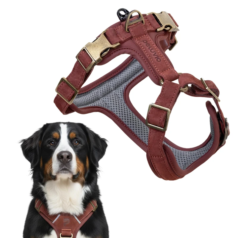 Peluvio Lord Leather Dog Harness Genuine Cowhide Leather, Classic Adjustable Dog Harness with Copper Buckles, Comfortable Control when Walking for Small Medium Large Dogs, Durable (XL, Brown)