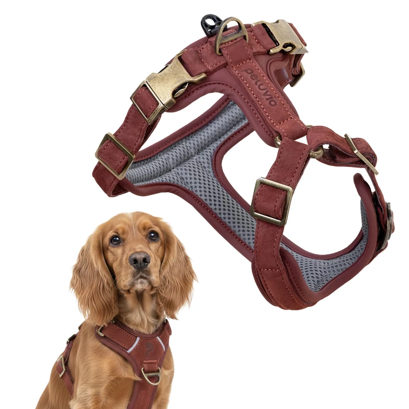 Peluvio Lord Leather Dog Harness Genuine Cowhide Leather, Classic Adjustable Dog Harness with Copper Buckles, Comfortable Control when Walking for Small Medium Large Dogs, Durable (M, Brown)