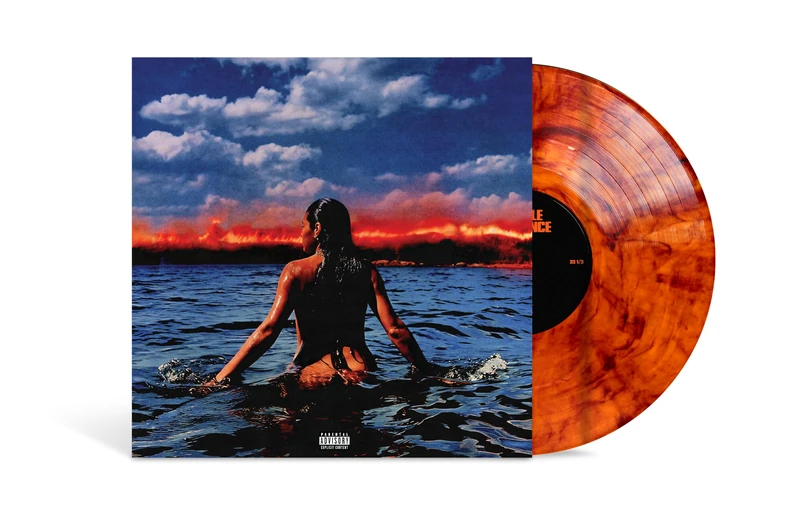 A LITTLE VENGEANCE[Orange LP] [Vinyl LP] [VINYL]