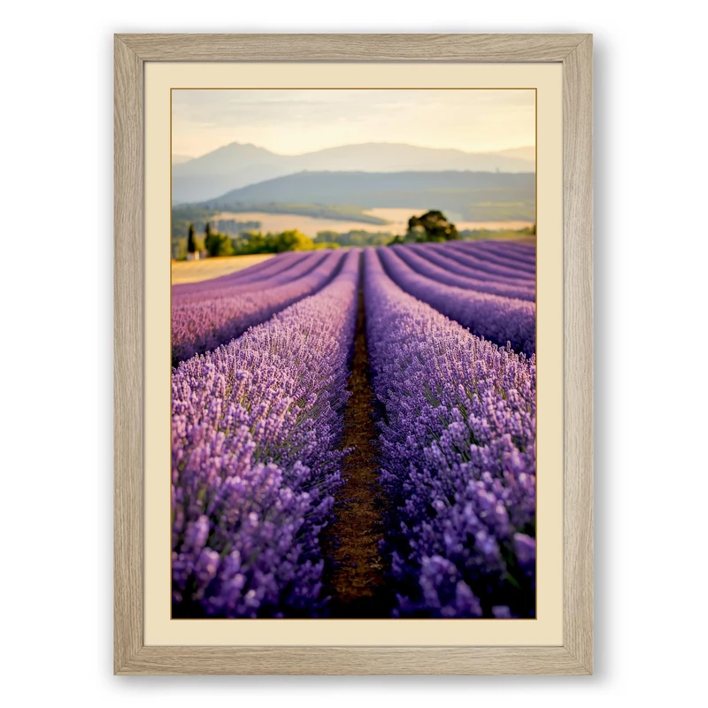 Lavender Fields at Dusk Rustic Framed Wall Art Print A1 (84.1×59.4cm) Oak, Wall Decor for Living Room, Bedroom, Office & Home, Ready to Hang, Art Gift