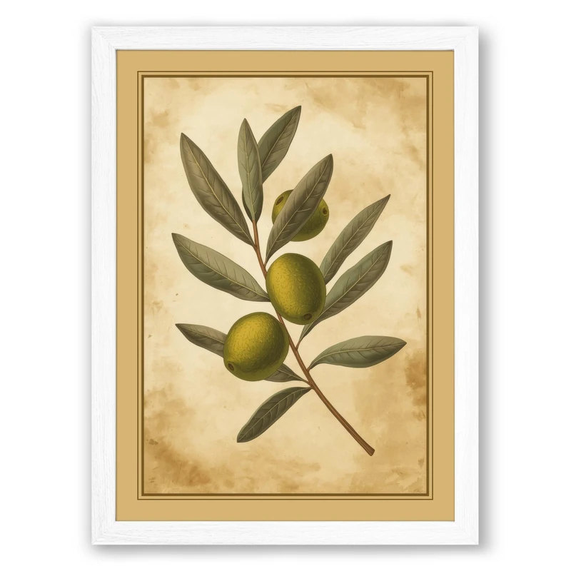 Olive Branch Study Botanical Framed Wall Art Print A1 (84.1×59.4cm) White, Wall Decor for Living Room, Bedroom, Office & Home, Ready to Hang, Art Gift